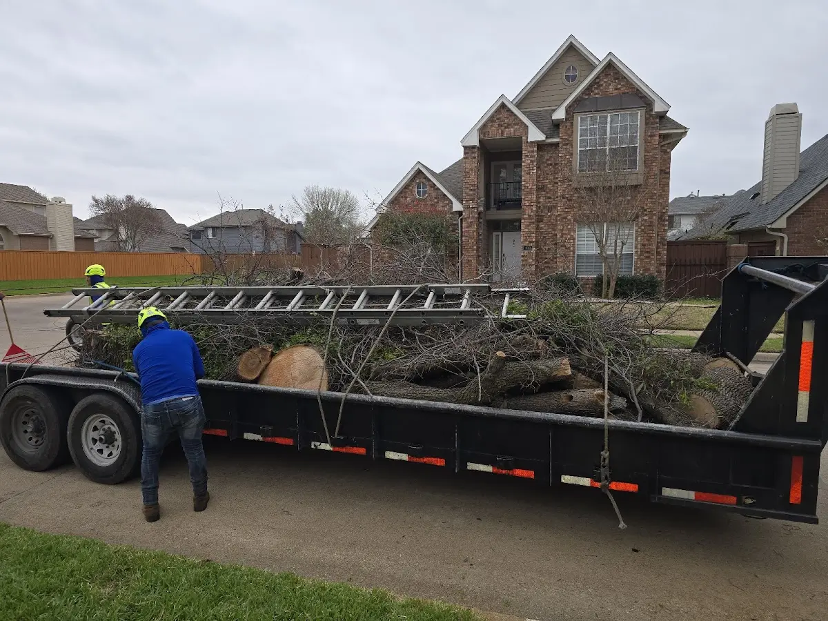 Expert Lot Clearing with proper safety equipment in Ipswich